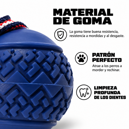 Pelota interactiva para perros